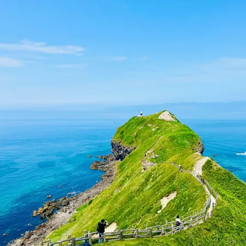 The green headland of Cape Kamui above the sea