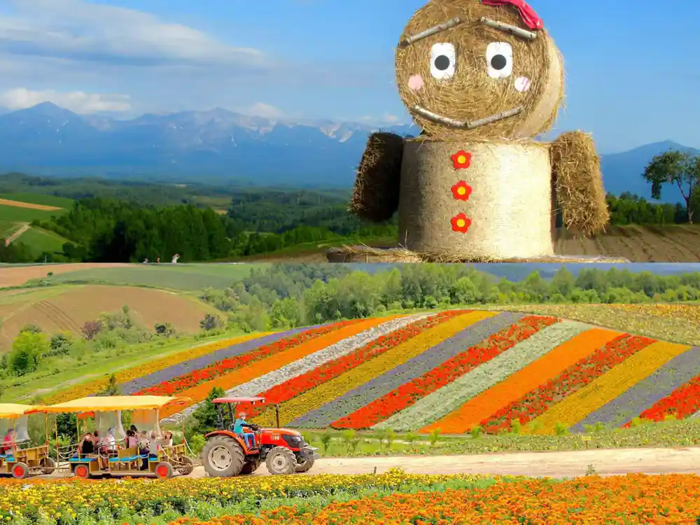 Giant straw scarecrow overlooking colorful flower field rows