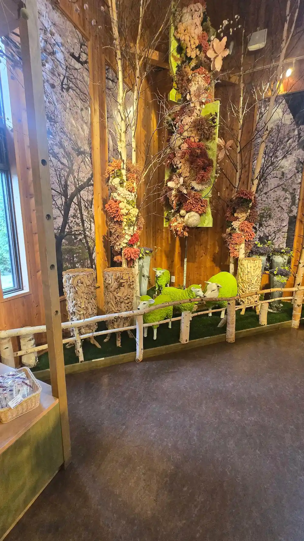 Indoor flower display with wooden structures