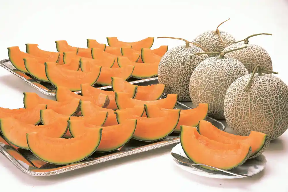 Orange pumpkin slices and cantaloupe melons on white tray