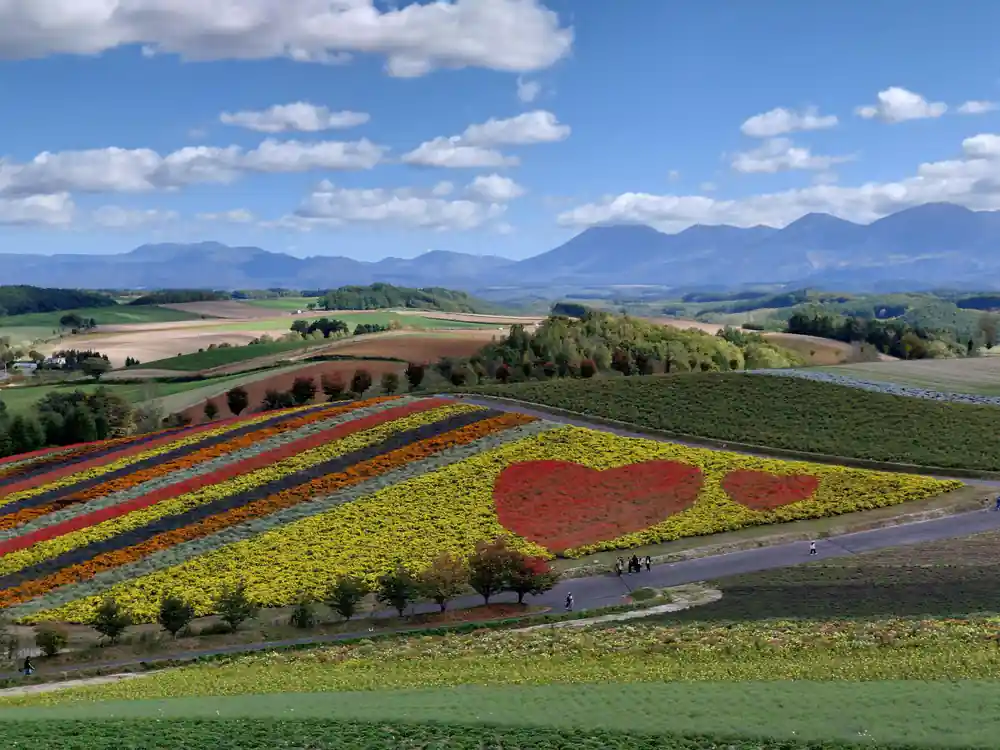 Red and yellow flower fields with distant mountains