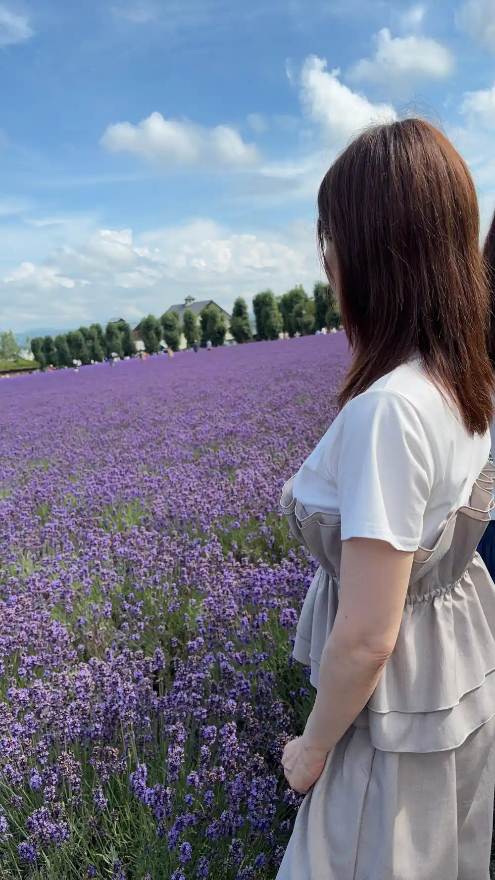 Woman standing in extensive purple flower field